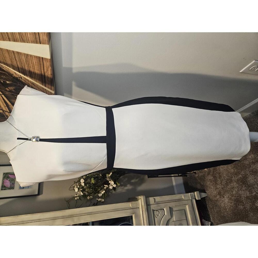 Elegantly Chic White House Black Market Colorblock Dress